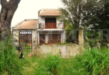 Misiones: encontraron a rescatista muerta en su casa e investigan si fue devorada por sus 40 perros