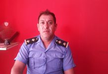 Chepes: Perro provocó delicado accidente a una docente
