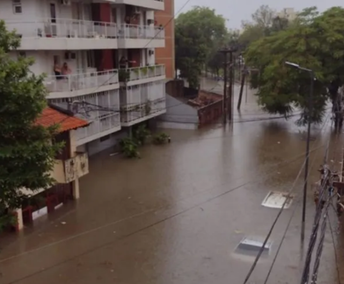 Imagen7