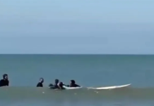 Video: insólita pelea de surfistas a trompadas en Mar del Plata