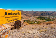 Neuquén: un hombre le iba a enseñar a manejar a un adolescente y lo abusó