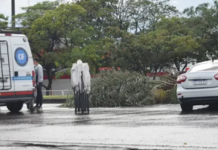 Tragedia en Salta: conductor alcoholizado atropelló a 10 personas y provocó tres muertes