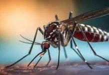 Chepes: Se sumaron Tres casos más de Dengue el pasado día sábado