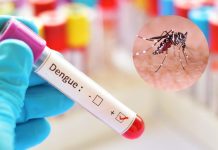 Dengue en Argentina: 197 fallecidos y cerca de 270.000 casos registrados