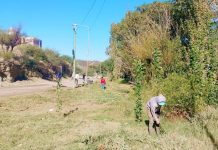 Malanzán: Continúan con acciones en contra del Dengue