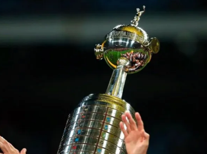 Imagen6