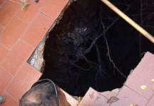 La Plata: así rescataron a una mujer de 84 años que cayó en un pozo de 7 metros en su casa