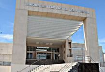 Neuquén: expusieron videos sexuales en una reunión virtual de la Legislatura