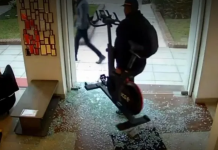 Palermo: se llevó una bicicleta fija de un gimnasio tras romper la vidriera en pleno día