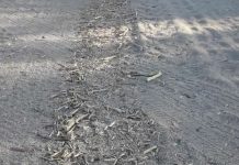 Chepes: A los caminos destruidos se le suma el traslado de leña sin las carpas obligatorias