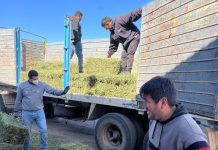 Malanzán: Entrega de Alfa para productores del departamento Juan Facundo Quiroga