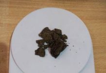 Portezuelo: Encuentran marihuana en colectivo de la Secretaría de Transporte