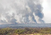 Córdoba: evacuaron un barrio cerrado en Calamuchita por los incendios forestales
