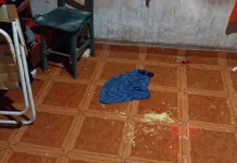 Chaco: asesinó a su hermano porque se comió la última torta frita