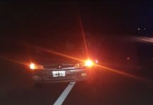 Ulapes: Familia protagonizó accidente por animal suelto