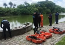 Amplio operativo: buscan en los Lagos de Palermo a un hombre que se metió a nadar y desapareció