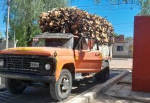 Chepes: Secuestran cargamento de leña por infracción a la Ley 13.273