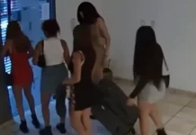 Cinco viudas negras engañaron a un turista francés y lo desvalijaron