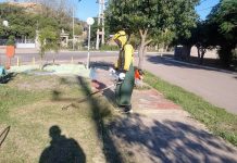 Malanzán: Desmalezamiento Seguro y eficiente