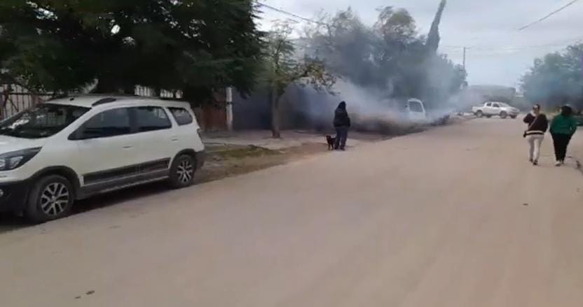 dengue