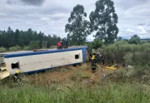Tragedia en Misiones: siete personas murieron al volcar el micro en el que viajaban
