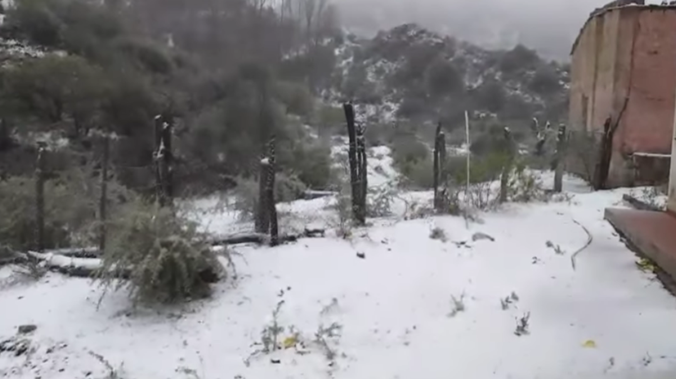 NEVADA LA LAGUNA