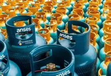 ANSES: los beneficiarios del extra de $2.200 que se otorgará en junio