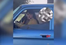 Mar del Plata: filmaron a una nena manejando una Ranchera