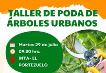 Malanzán: Capacitación en Poda Urbana – INTA