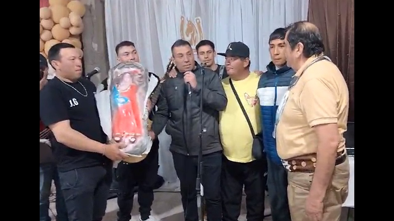 tigres de los llanos
