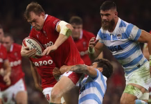 Los Pumas se enfrentan a Gales y buscan mantener el sexto puesto en el ranking pensando en el Mundial