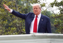 Trump ordenó revisar las Green Cards de inmigrantes de 19 países, incluidos Cuba y Venezuela