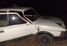 El Portezuelo: Accidente en la ruta: un auto chocó contra una vaca