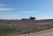 Simularon ser policías, maniataron a una familia rural y robaron en un campo bonaerense