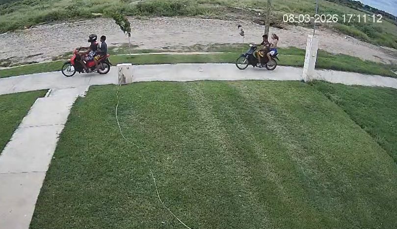 331811_1773074691