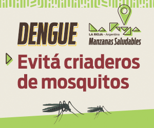 DENGUE_300x250_GIF