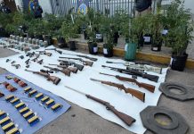 Capital: Secuestraron plantas de marihuana, armas y vehiculos tras una denuncia anónima