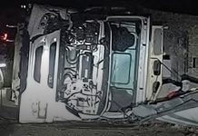 San Antonio: Un camión volcó en la Ruta 29 tras colisionar con un animal vacuno