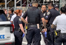 Pánico en el corazón de Nueva York: la policía detuvo a un hombre que realizó disparos en el Times Square