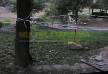 Capital: Hallaron restos óseos durante trabajos en el Club Náutico