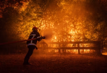 Incendios en el sur de Europa: hay más de 330.000 personas evacuadas en España, Italia y Francia