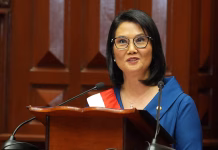 Keiko Fujimori asumió la presidencia del Perú con el desafío prioritario de lograr gobernabilidad y combatir la inseguridad