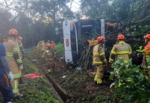 Tragedia en Brasil: volcó un micro y murieron diez pasajeros