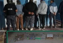 Cuatro riojanos fueron detenidos en Catamarca con 22 aves canoras transportadas de manera ilegal