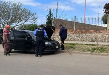 Capital: Una serpiente apareció en un automóvil frente a la escuela del barrio Alunay y generó un operativo para rescatarla