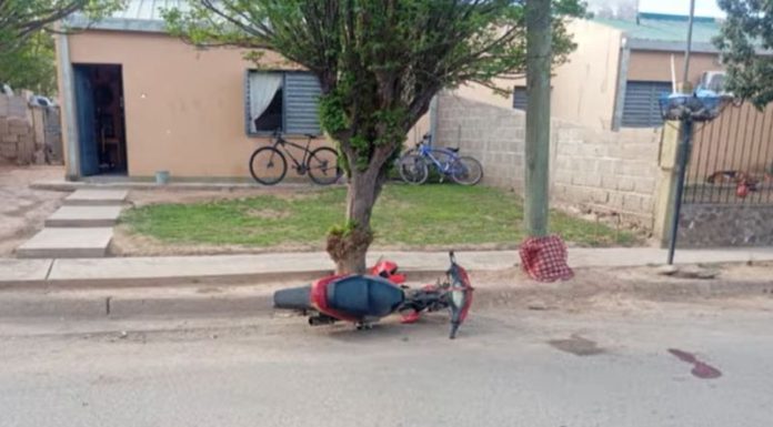 Ulapes: Una adolescente de 16 años está internada en terapia intensiva tras chocar con un perro