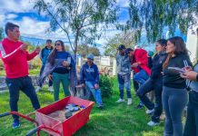 Ulapes: Capacitación en Poda responsable