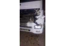 Capital: Un camión chocó contra un animal vacuno en Ruta 38
