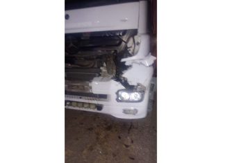 Capital: Un camión chocó contra un animal vacuno en Ruta 38