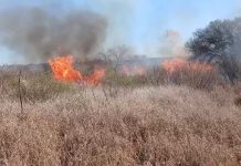 Ulapes: Incendio forestal, el fuego fue sofocado tras avanzar rápidamente por los fuertes vientos